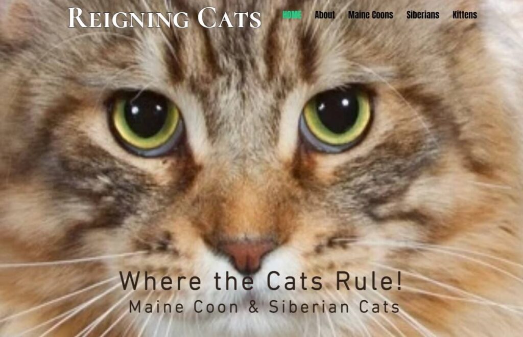 Screenshot of Reigning Cats Website Homepage