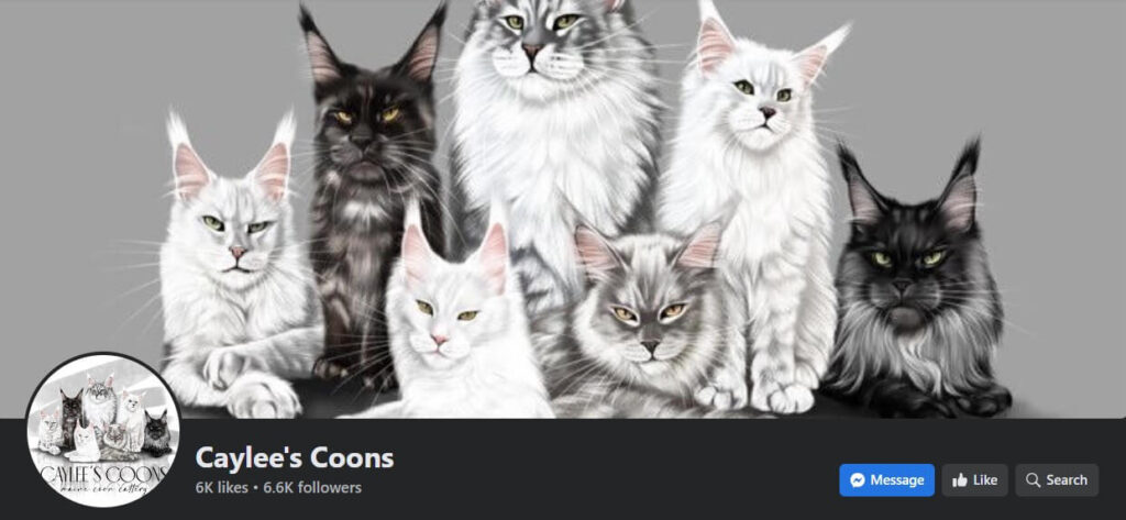 Screenshot of Caylee’s Coons Website Homepage