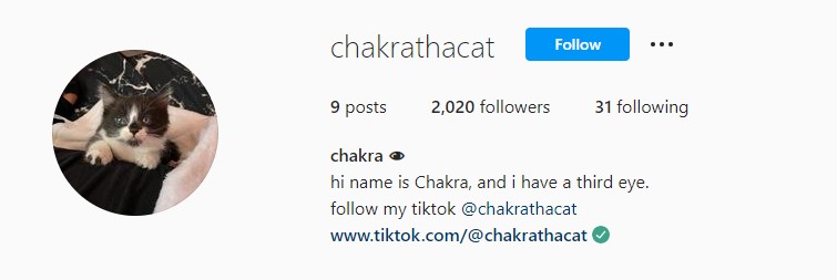 chakra Instagram account