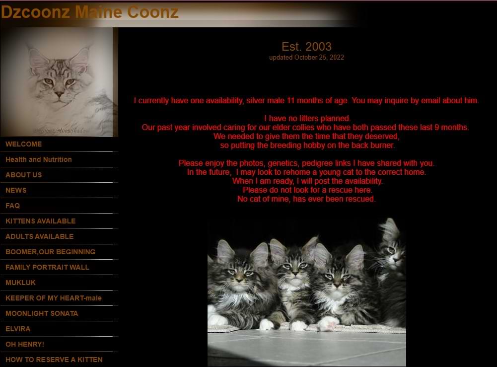 Screenshot of Dzcoonz Maine Coon Cattery Website Homepage