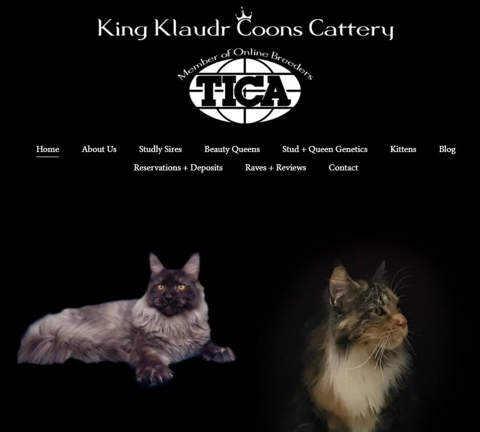 Screenshot of King Klaudr Coons Website Homepage