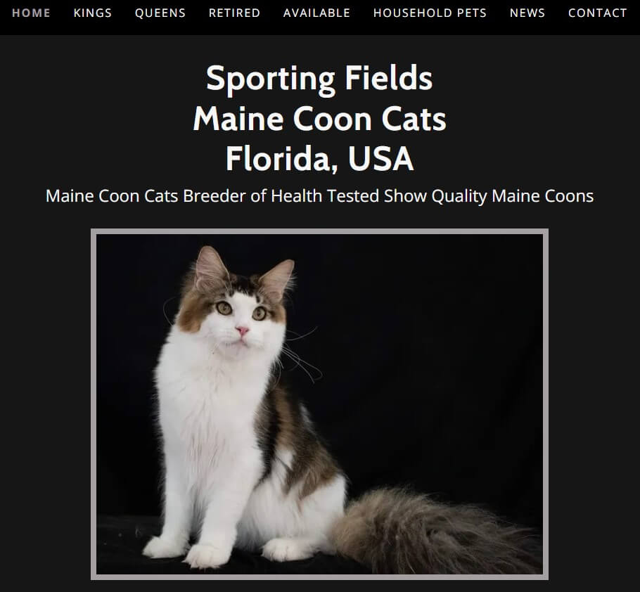 Screenshot of Sporting Fields Website Homepage