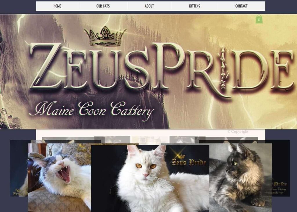 Screenshot of Zeus Pride Maine Coon Cattery Website Homepage