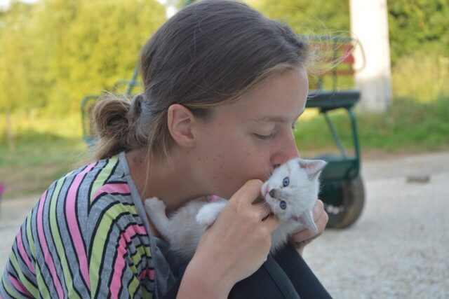 a girl kissing the cat
