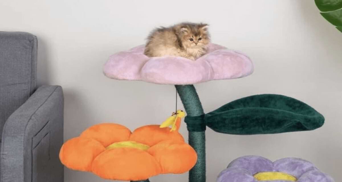 Your List Of The Best Flower Cat Tree For Your Pet