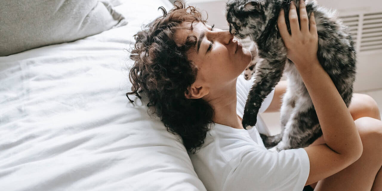Do Cats Understand Kisses? Learn More About Them!